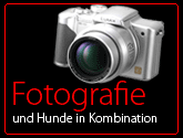 zur Fotografie